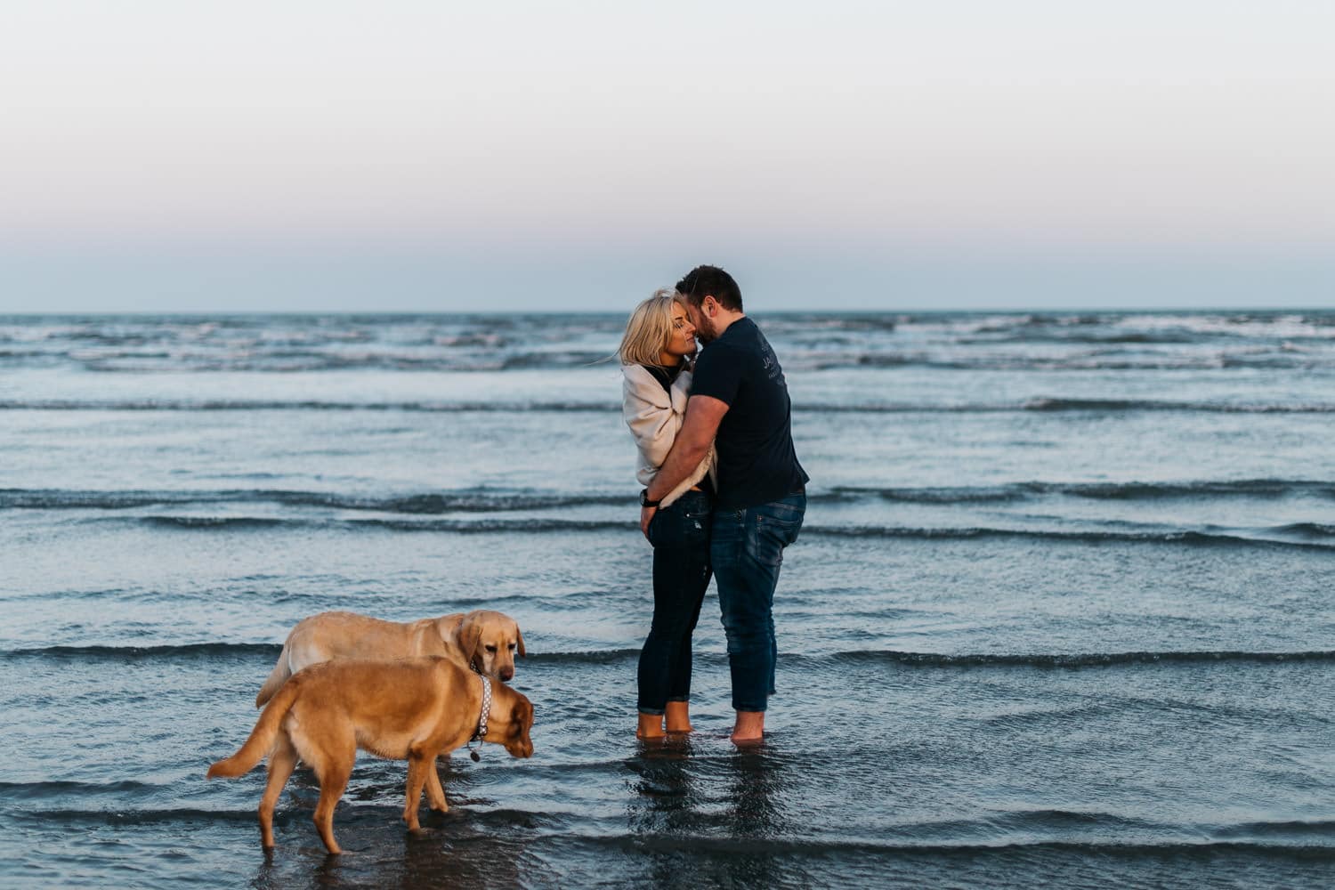 couple kissing in the water with the dogs at sunset