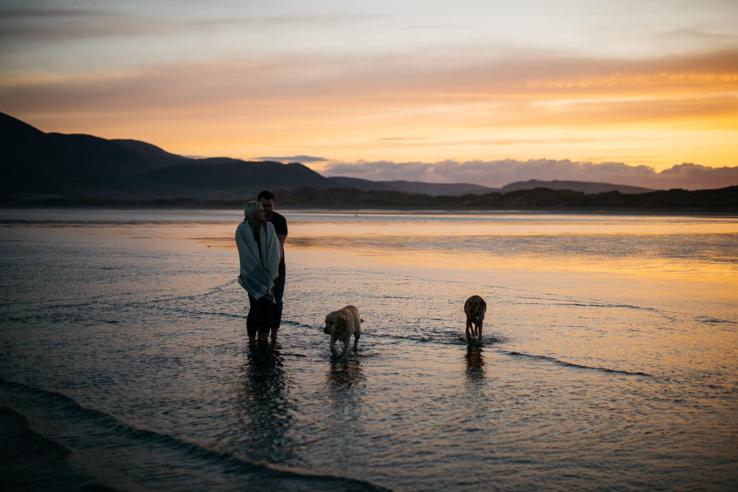 couple with dogs at sunset