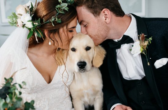 bride and groom posing with a dog wedding photographers Northern Ireland