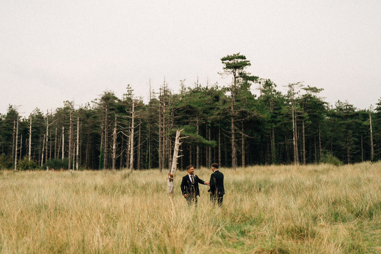 gay wedding Northern Ireland wedding photographers northern ireland